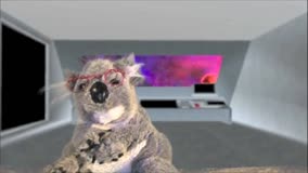 Comments from the Koala 19: Searching for God 