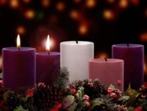 The Second Sunday of Advent:  The Way of Peace 