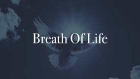 Breath Of Life 
