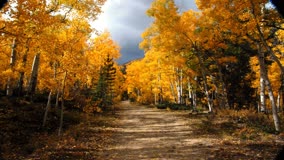 Sarah Schieber - The Long October Road
