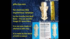 This video provides proof that Jesus Christ is the Son Of God and prayers do work <br />watch the whole video 