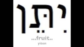 Psalms 1:3 in Hebrew Ketuvim - Writings 