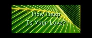 How Deep Is Your Love? - Randy Winemiller 