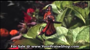 Here is a trailer of a wonderful DVD - God of Wonders. If you want to watch full version for free or purchase DVD visit our webpage on www.yourpraiseshop.com and search for God of Wonders.<br />Thanks for watching!<br />God bless, Arthur