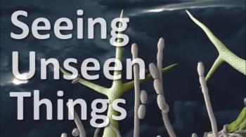 Seeing Unseen Things 