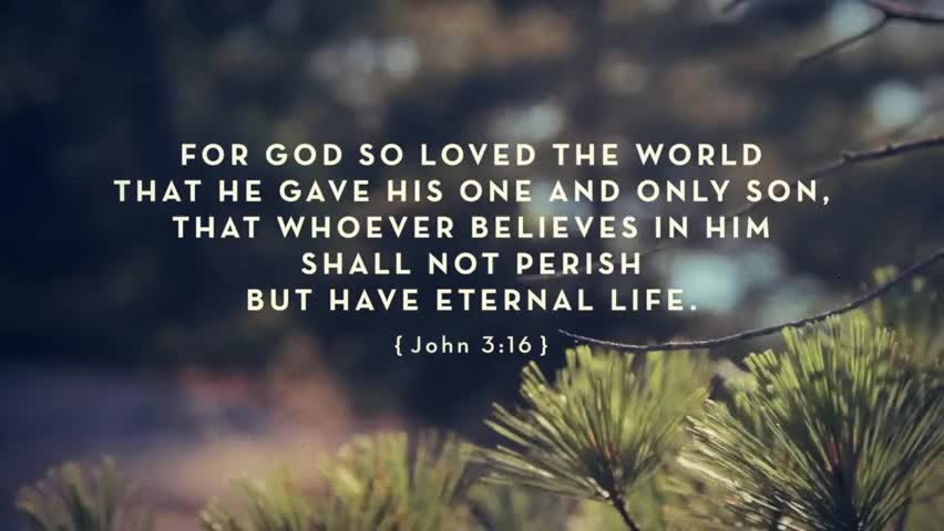 The Greatest Promise - John 3:16 - Ministry Videos