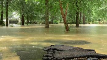 The Long Cleanup begins in Louisiana