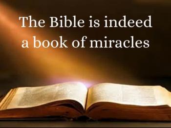 The Miracle Book 