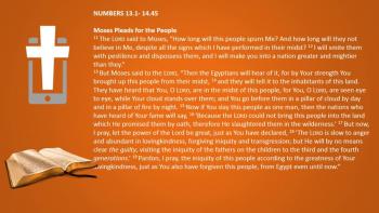 March 8th – Numbers 13:1 - 14:45 - Reading