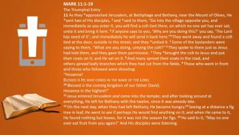 March 9th - Mark 11:1-19 - Reading  