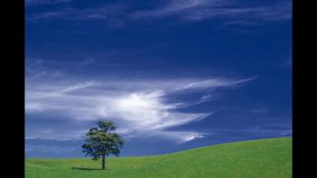 Jesus taught us to "Seek first the kingdom and His righteousness". This sermon from December 31, 2006 reminds us to make Christ the center of our resolutions. Mark 12:28-34