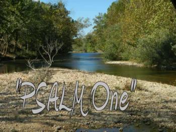 Bible verses from Psalm One are set to music with, a pleasant melody, in a Pop/Rock genre.