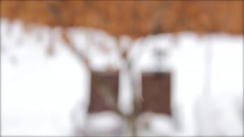 O the Precious Flow - Gracious Vine<br />www.GraciousVine.com