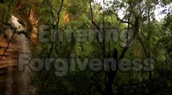 Entering Forgiveness