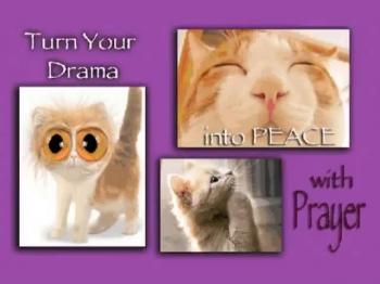 Turn Your Drama Into Peace 