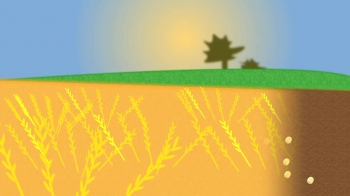 BibleCartoon.net is an interactive way to explain biblical stories. The plan is to create short Videoclips that explain most of the stories in the bible in an easy and clear way so that children and people who do not have a church background will be able to understand them. 