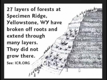 Should Evolution Be Taught In The Public Schools.