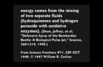 Leviathan The Fire Breathing Dragon