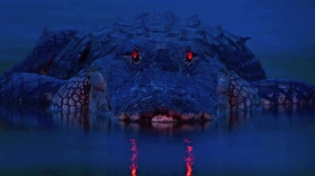 Don’t Feed on Condemnation<br /><br />We all struggle with condemnation.  But I don’t think we realize just how committed the demons are to bringing us down.<br /><br />Jesus uses the graphic analogy of a crocodile to describe the tactics the demons use in trying to steal our confidence in what the Lord is doing in our lives and immobilize us in the depths of fear and depression.<br /><br /><br />We are a full time ministry and appreciate the kind and generous hearts that are able to contribute to our ministry.  May the Lord bless you thirty fold, both now and in the age to come.<br /><br />https://www.heartdwellers.org/donate-1...