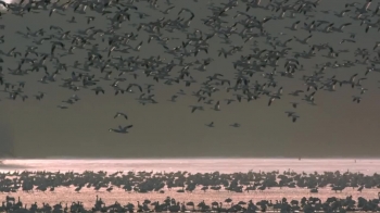 After Time, is from the album, Journeys Through The Beautiful Place, based on our experiences in Heaven<br /><br />After Time, is a very uplifting and joyful musical illustration of some of the joys we have experienced in Heaven.  In our book, Chronicles of the Bride we describe many of the outrageous wonders of Heaven that even now seem beyond imagining.  This music is but a single note from the eternal paradise.<br /><br />I don't think it's possible to stay depressed if you listen to this song, it is just overwhelmingly JOY-full.<br /><br />We are a full time ministry and appreciate the kind and generous hearts that are able to contribute to our ministry.  May the Lord bless you thirty fold, both now and in the age to come.<br /><br />https://www.heartdwellers.org/donate-1...