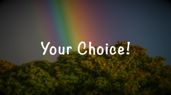 Your Choice! 