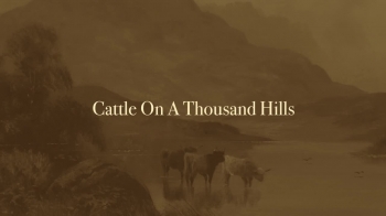 Cattle On A Thousand Hills