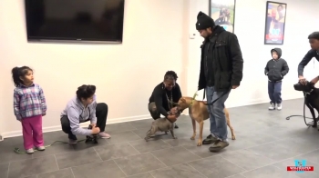 In this video segment, we are demonstrating the importance of understanding how to walk properly with the Dog. How a person walks with their Dog is so important! Master Dog Trainer Toriano Sanzone talked about it.<br />