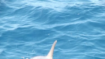 Promotion for "Rise & Shine" installments recorded in Hawaii.  These programs will also be available for viewing on GodTube.