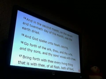 How Did the Worldwide Flood Happened