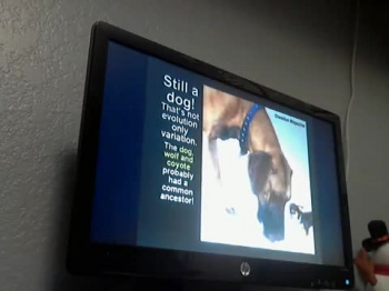 What are the Six Meanings of Evolution