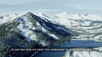 EXCERPT: Blessed is the man that walketh not in the counsel of the ungodly, nor standeth in the way of sinners, nor sitteth in the seat of the scornful...<br /><br />Read by Christopher Glyn<br /><br />The complete audio Bible:<br />https://www.audible.com/pd/The-Complete-King-James-Version-Audio-Bible-Audiobook/B00B788U5G?qid=1540471149&sr=sr_1_1&ref=a_search_c3_lProduct_1_1&pf_rd_p=e81b7c27-6880-467a-b5a7-13cef5d729fe&pf_rd_r=9KADJ3NJZS4BYG9PY244&<br /><br />Help us create more content by signing up for our Devotional Audio Podcast posted every day and read by Christopher Glyn.<br />https://www.patreon.com/christopherglyn<br /><br />holy bible, bible, holy, audio bible, bible reading, kjv, niv, king james bible, king james version, new international version, bible chapters, bible verses, israel, christian devotionals, christian devotions, Jesus, Jesus Christ, Christ, christopher glyn, meditation, meditations, bible verses, david, king david, psalm, psalms, book of psalms, bible poetry, psalms poetry, biblical poetry, psalm chapter 1, psalms chapter 1, psalm 1, psalms 1,