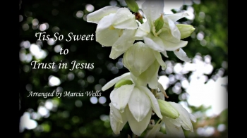 A thoughtful, quiet piano solo of a treasured hymn arranged by Marcia Wells. Sheet music for this and additional titles available at www.marciawellspiano.com