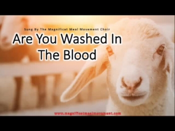 The Magnificat Meal Movement Choir come together to sing this ancient hymn with grace and beauty.  Let the words soak over you "Are You Washed In The Blood".  We have included lyrics so you can join in and singalong - <br /><br />This song is from the Blood of the Lamb - Passover 2017 CD available from https://www.magnificatmealmovement.com<br /><br />Visual and Sound Recording Copyright 2017 Magnificat Meal Movement Int