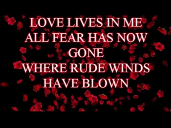 Where rude winds have blown the beautiful roses of God's love has come to bring hope, joy and peace