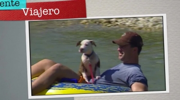 brief video open about what Texas has to offer for tourists