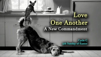 Peace to everyone,<br />Most of us have experienced special moments that become etched into our minds and hearts.   It may be the birth of a child, our first day in school, graduation day, a wedding, or when we said good-bye to a beloved member of our family.   Whatever the moment, it is both sacred and precious, that as the years pass, is still fresh in our minds and hearts.<br />In today’s Gospel, we are invited to join the sacred moment when Jesus and His disciples spent their last minutes together just before He would suffer His Passion and Crucifixion.   It is a moment when Jesus challenges each of us, along with His disciples, to “Love One Another.”<br />In this message, I share a true story about how one woman, courageously answered that call.    May her story encourage all of us to Love without counting the cost.<br />May this Easter Season continue to be nourish our faith as we all make our way toward Pentecost.