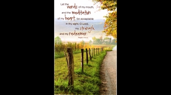 Favorite scripture verses from the Book of Psalms to encourage your life.