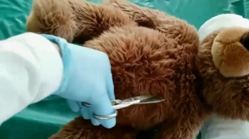 Dr Rufus--Teddy needs a new heart