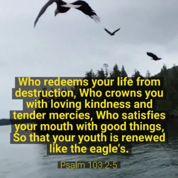 But those who hope in the Lord will renew their strength. They will soar on wings like eagles; they will run and not grow weary, they will walk and not be faint.