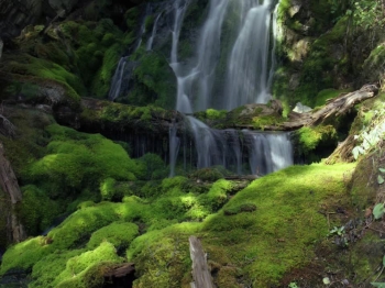 A wonderful southern Gospel song written by Bev Lowry and recorded by Ron Jarman produced for Lamon Records by Dave Moody.