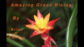 Amazing Grace Rising 