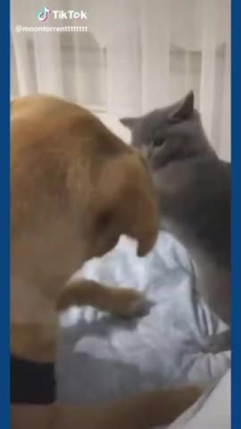 God Bless You<br />FULL VIDEO HERE..<br />https://youtu.be/1dgne_f6c-o