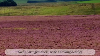 God's Lovingkindness, wide as rolling heather 