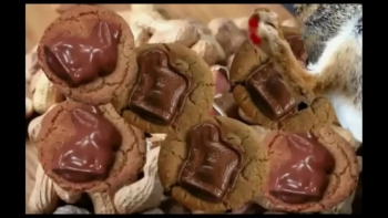 Christian Faith Publishing present Noam The Frist Easter Bunny