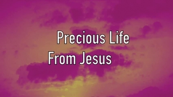 Precious Life From Jesus 