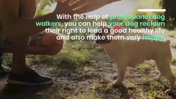 Dogs are fiercely loyal and extremely lovable creatures. The only thing they demand from you is food, shelter and a lot of love. 
