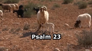 Psalm 23 The Lord is My Shepherd