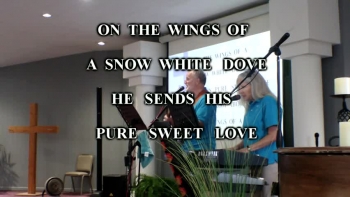 Rising Faith - Wings of a Dove - with words so you can sing along