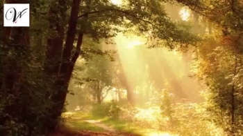 This video was collage and developed by Vick Videos, Christian videos for rest and relaxation. There's more to come thanks for watching  😊