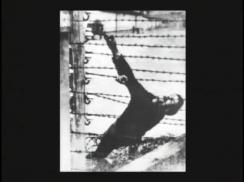 The Dangers Of Evolution